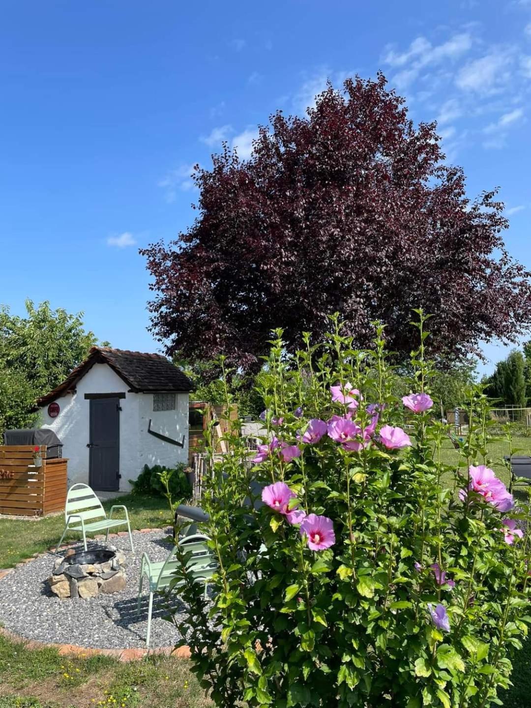 Le Heron Pourpre B&B Gastronomique Cronat Exteriör bild
